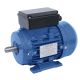 0.25Kw 4 Pole 230V 1Ph Dual Cap. IE1 Electric Motor