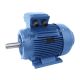 30Kw 2 Pole 400/690V 3Ph IE3 Cast Iron Electric Motor